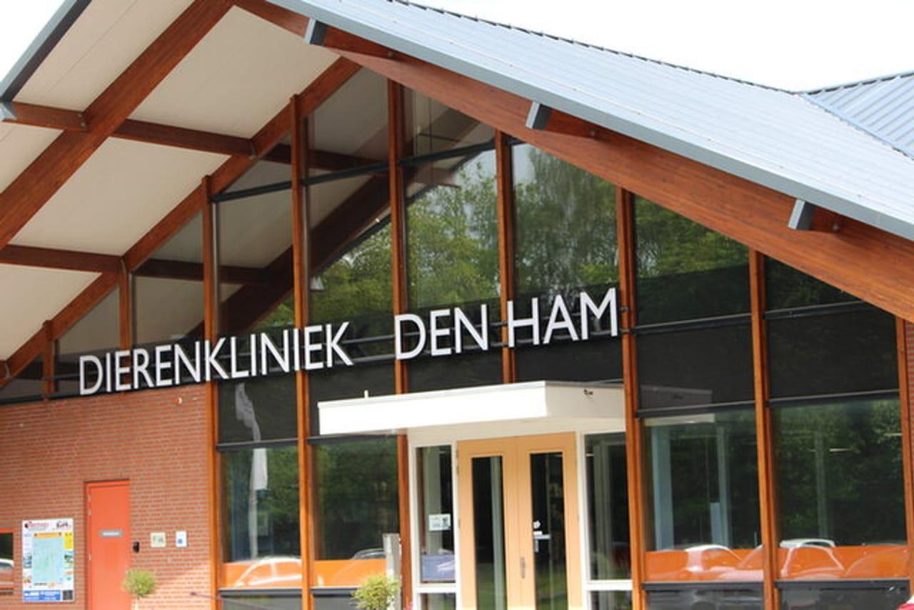 Entree en parkeerterrein van Dierenkliniek Den Ham